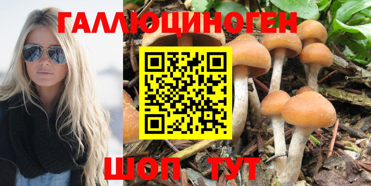 Псилоцибиновые грибы ЛСД  Вход с VPN  Озёры  Псилоцибиновые грибы мухоморы 