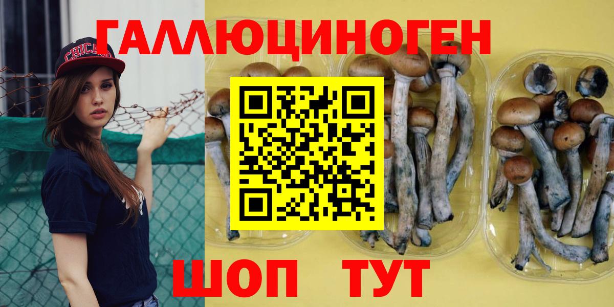 Псилоцибиновые грибы Psilocybe Озёры